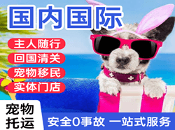 白塔机场空运国际宠物托运 【国